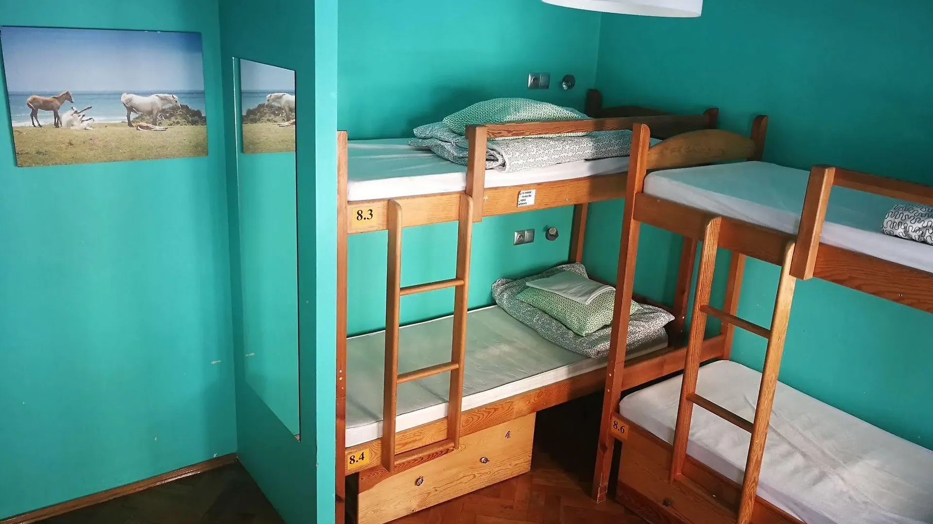 Hostel Helvetia Warsaw - Private Rooms In City Center And Old Town